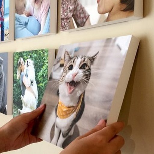 nuphoto 無框畫 網友評價畫質很好